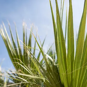 https://nashos-bungalows.albaniahotels.org